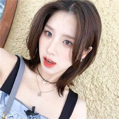 一棵树的纠纷